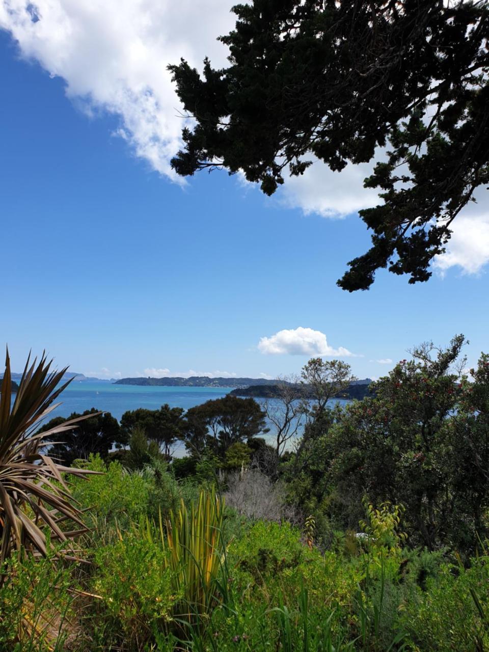 The Retreat Holiday House Paihia Kültér fotó